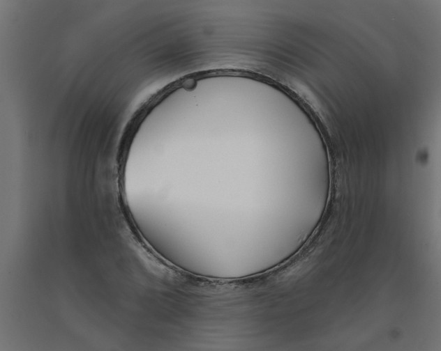 X0000090871072200708241915