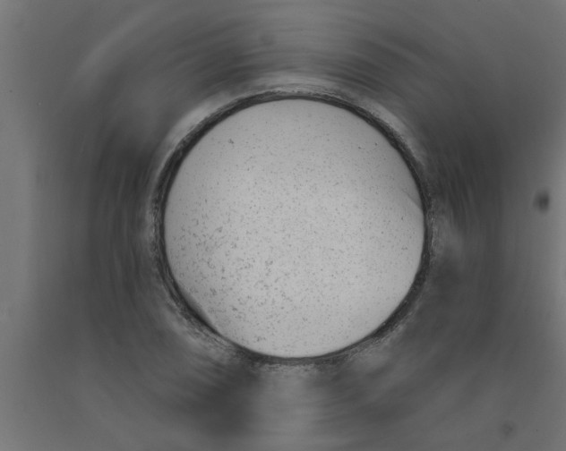 X0000090871074200708241915