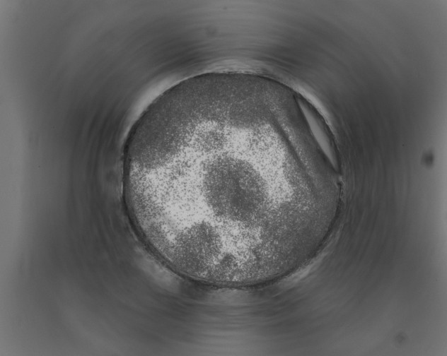 X0000090871075200708241915