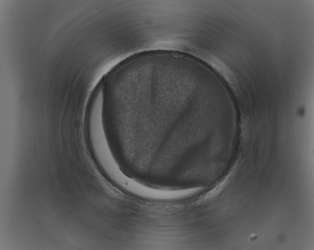 X0000090871077200708241915