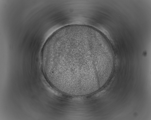 X0000090871078200708241915