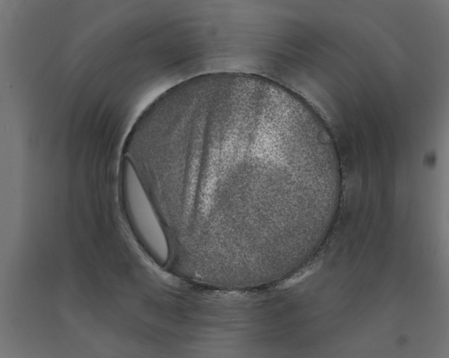 X0000090871079200708241915