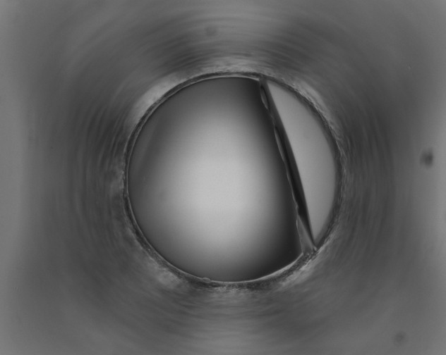 X0000090871081200708241915