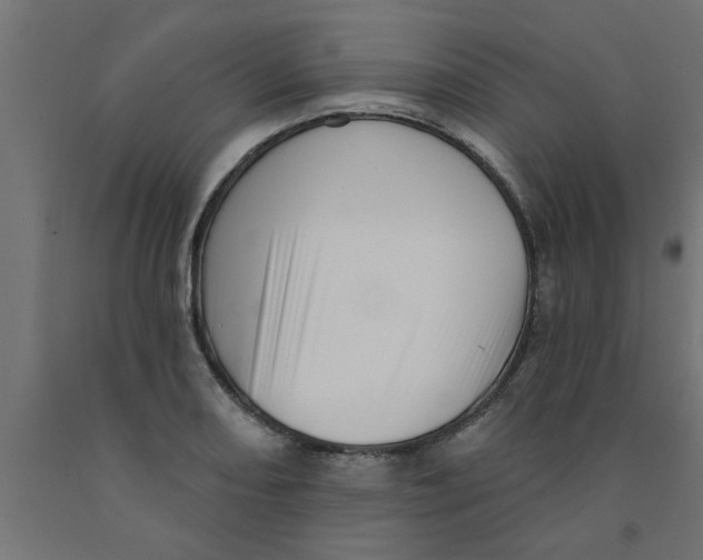 X0000090871082200708241915