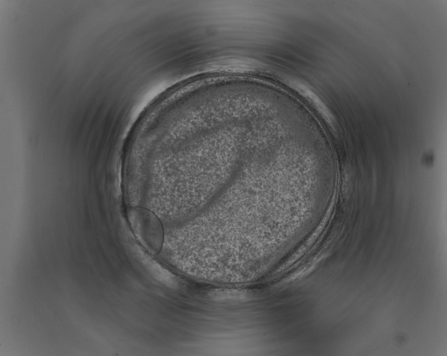 X0000090871083200708241915