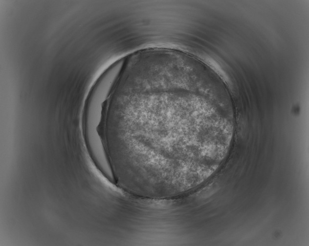 X0000090871084200708241915