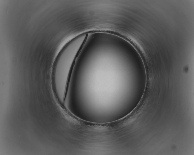 X0000090871085200708241915