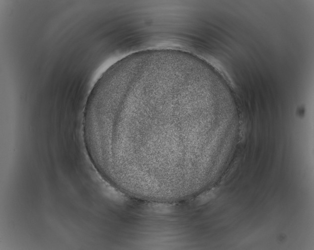 X0000090871086200708241915