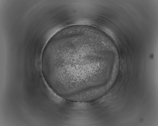 X0000090871087200708241915