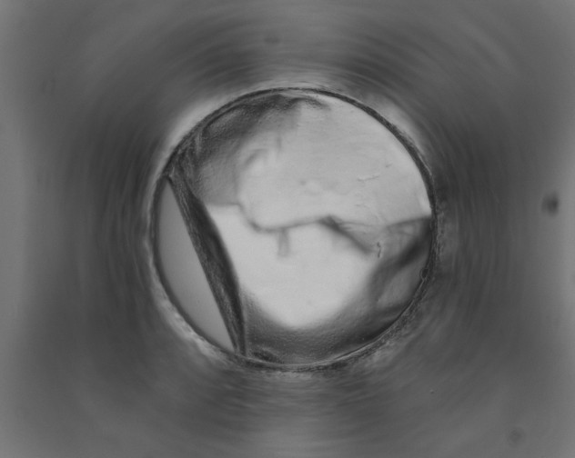 X0000090871088200708241915