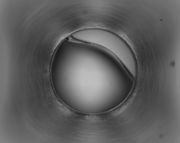 X0000090871089200708241915