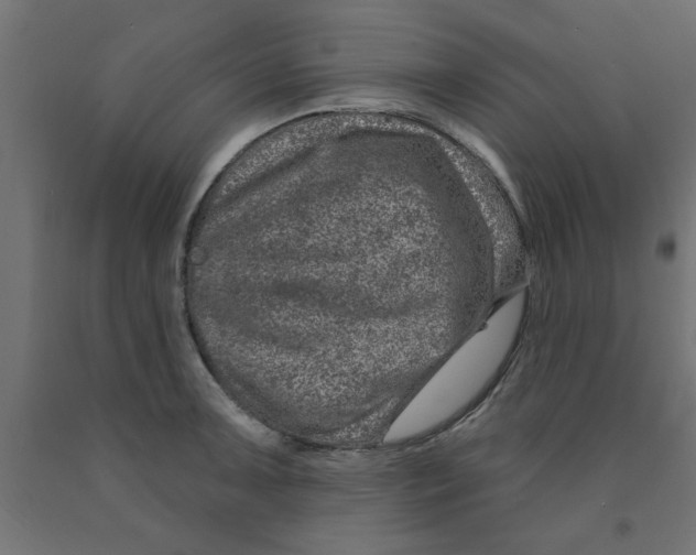 X0000090871091200708241915