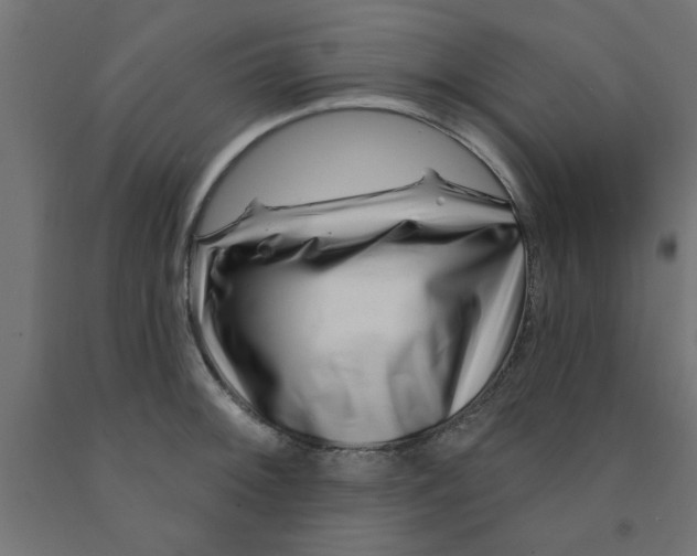 X0000090871092200708241915