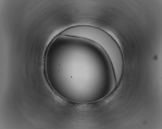 X0000090871093200708241915