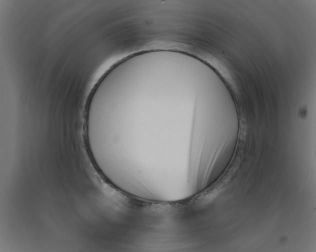 X0000090871094200708241915