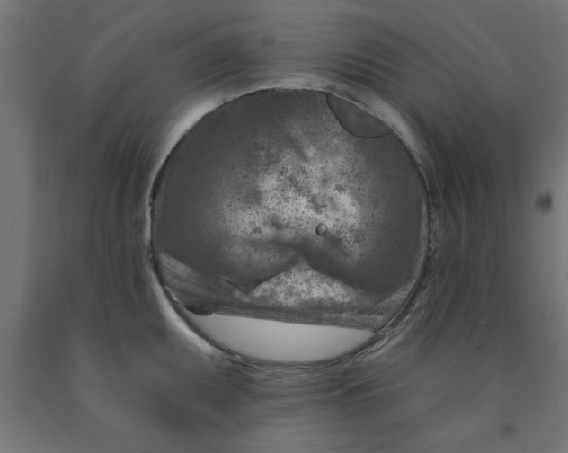 X0000090871095200708241915