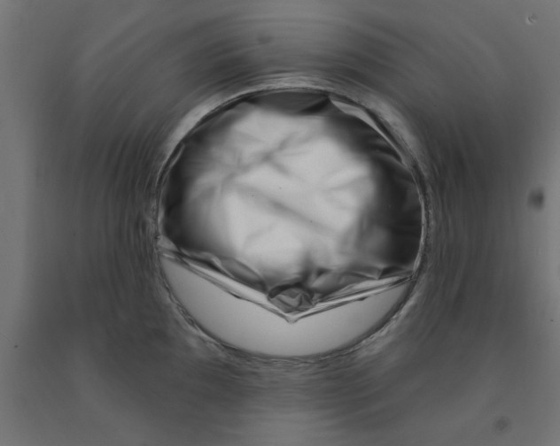 X0000090871097200708241915