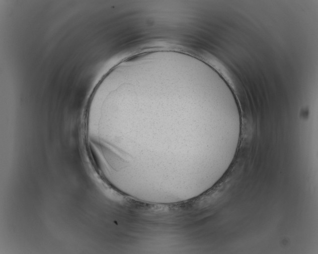 X0000090871098200708241915