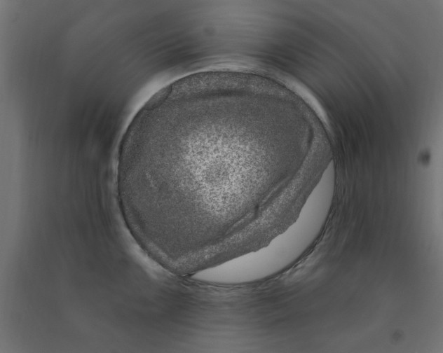 X0000090871099200708241915