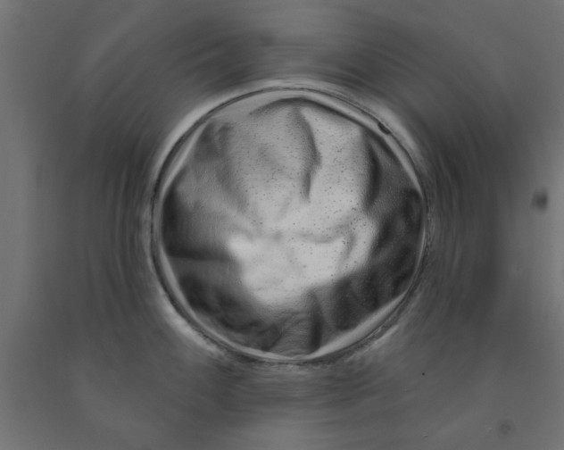 X0000090871100200708241915