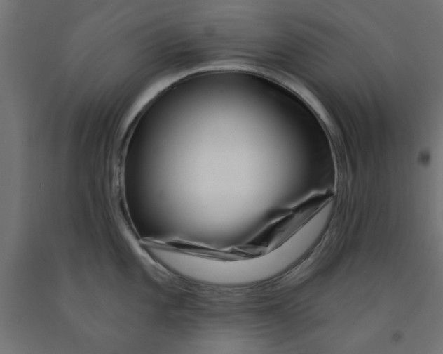 X0000090871101200708241915