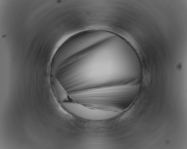 X0000090871102200708241915