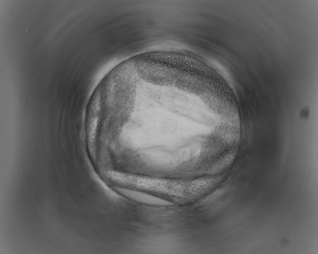 X0000090871103200708241915