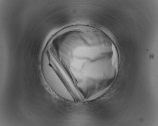 X0000090871104200708241915