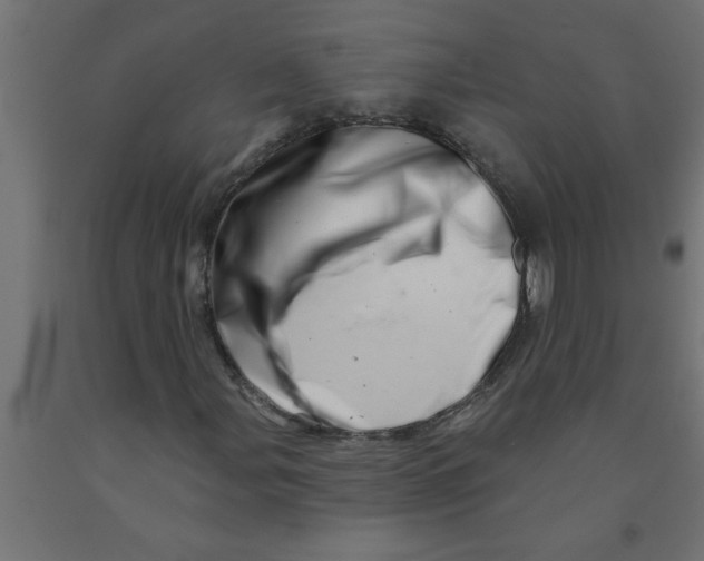 X0000090871107200708241914