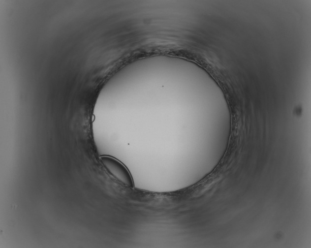 X0000090871109200708241914