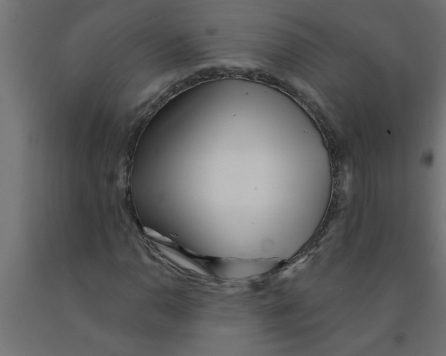 X0000090871110200708241914