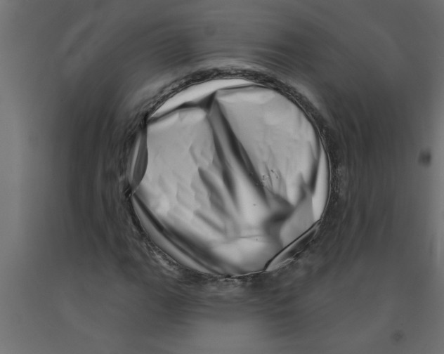 X0000090871111200708241914