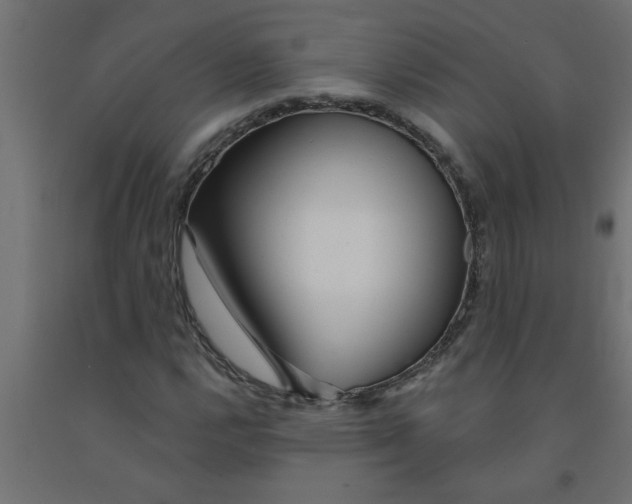 X0000090871112200708241914