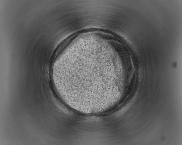 X0000090871113200708241914