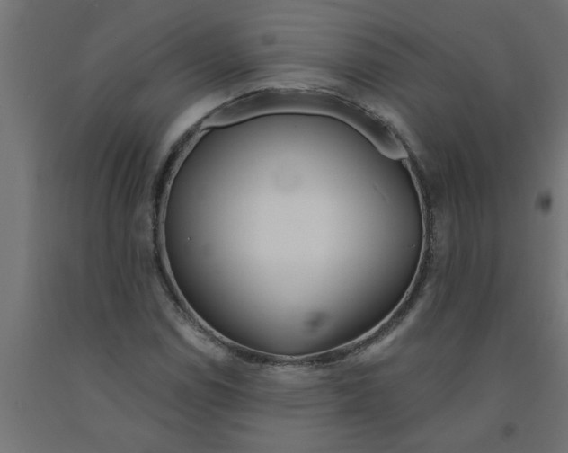 X0000090871114200708241914