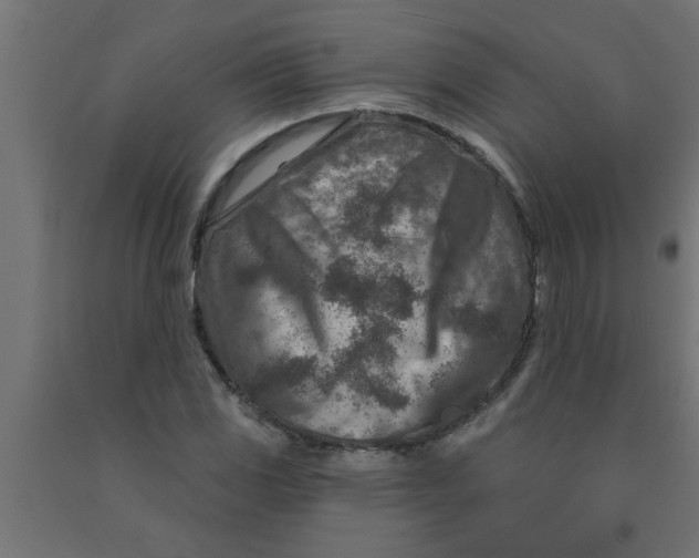 X0000090871117200708241914