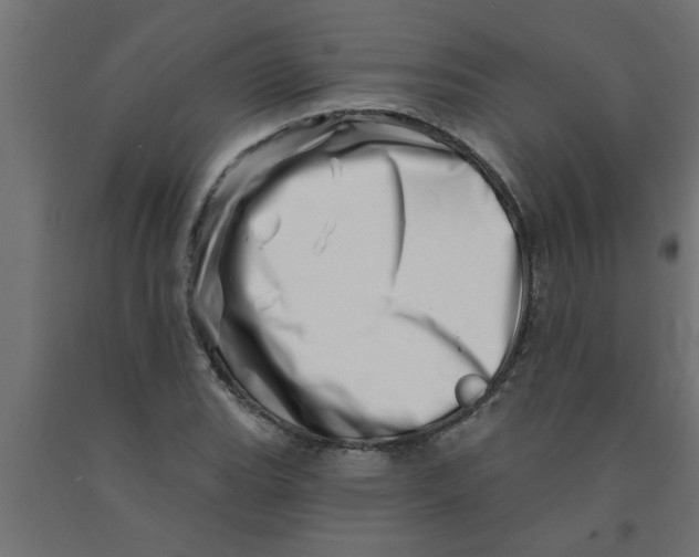 X0000090871119200708241914