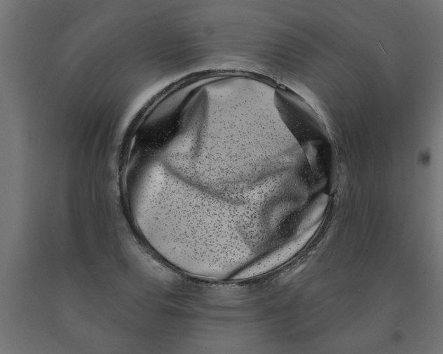 X0000090871120200708241914