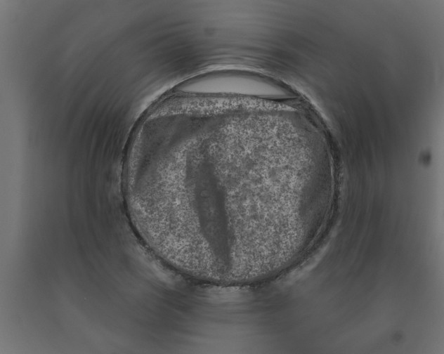 X0000090871121200708241914