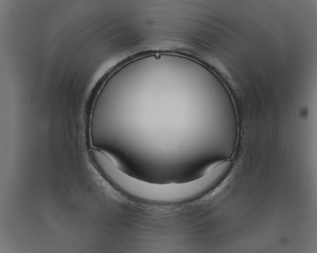 X0000090871122200708241914