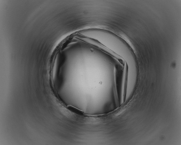 X0000090871124200708241914