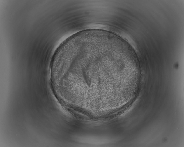 X0000090871125200708241914