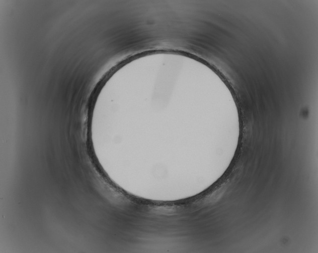 X0000090871126200708241914