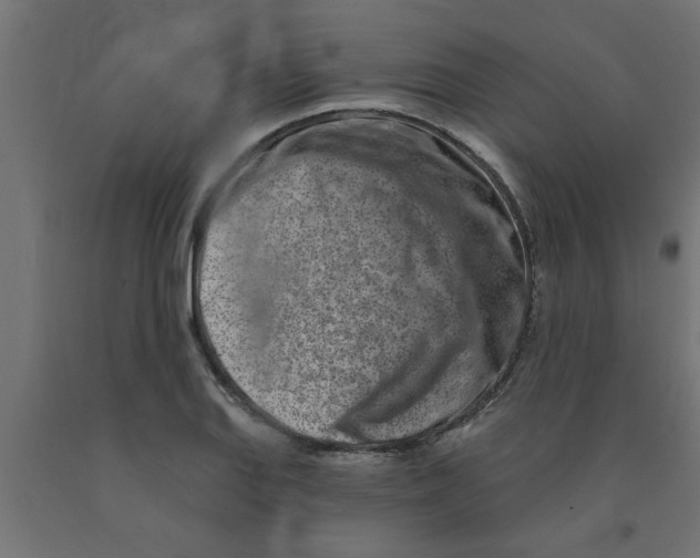 X0000090871127200708241914