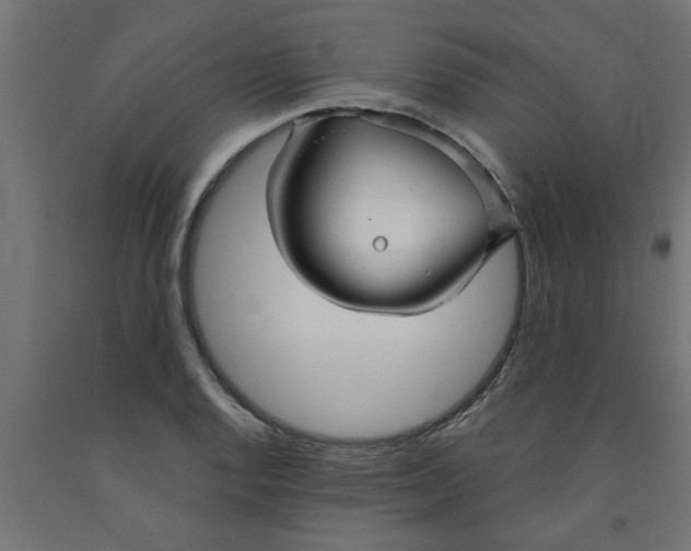 X0000090871128200708241915