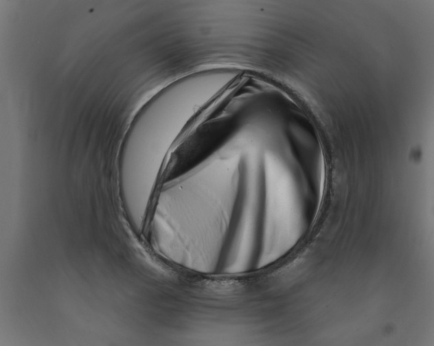 X0000090871129200708241915