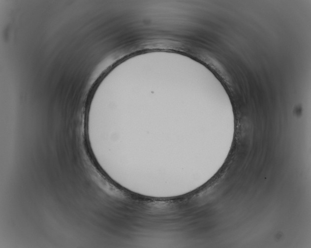 X0000090871130200708241915