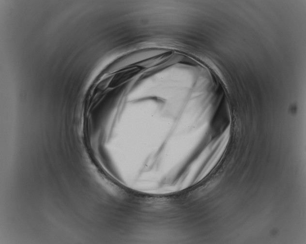 X0000090871131200708241915