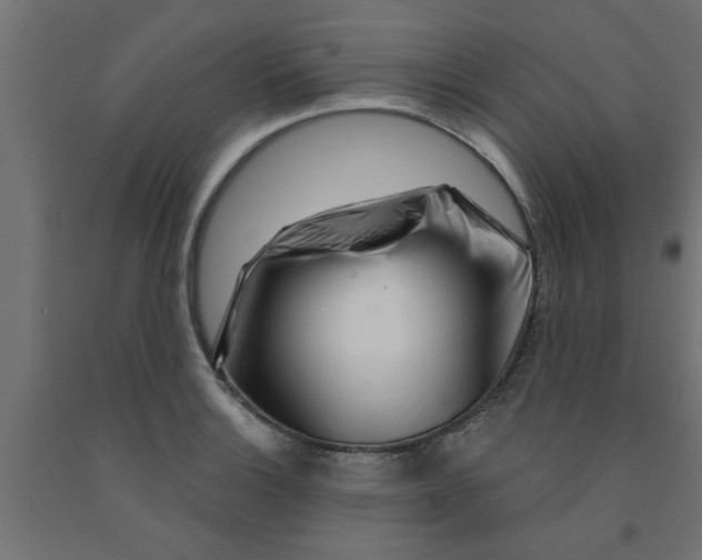 X0000090871132200708241915