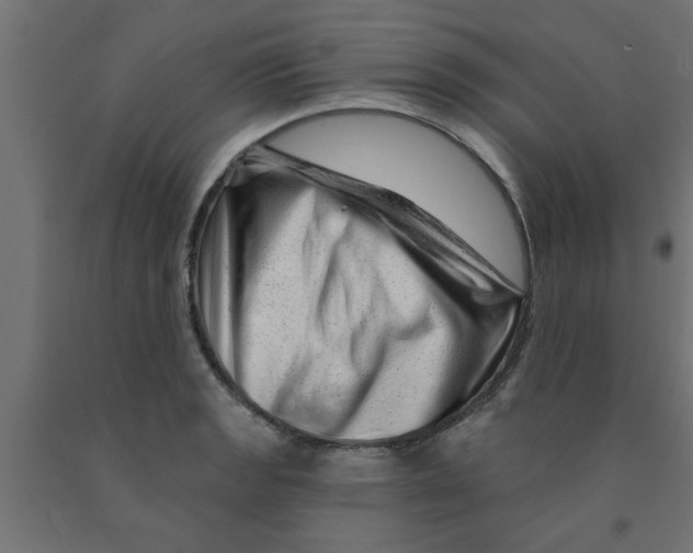 X0000090871133200708241915